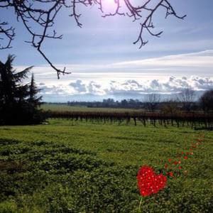 Meet your Posher, Teresa